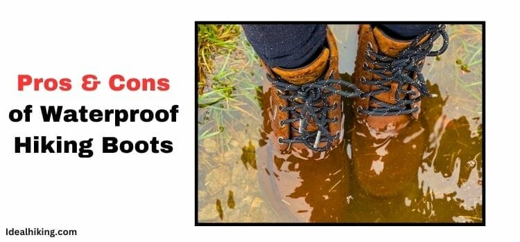 Should Hiking Boots Be Waterproof or not